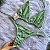 Conjunto Biquini Green - Imagem 3