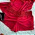 Pijama Short Doll Julie em Microfibra Vermelho - Imagem 3