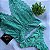 Conjunto Lingerie Lady Verde - Imagem 3