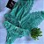 Conjunto Lingerie Lady Verde - Imagem 2
