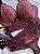 Conjunto Lingerie Naomi Vinho - Imagem 1