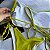 Conjunto Biquíni verde - Imagem 3