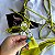 Conjunto Biquíni verde - Imagem 2
