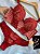 Conjunto Lingerie Vermelho Rebeca - Imagem 1