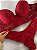 Conjunto Lingerie Daniella Cropped Reforçado com base de espuma e calcinha fio duplo - Imagem 2