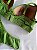 Conjunto Lingerie Elegance Comfry Verde Microfibra - Imagem 4