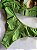 Conjunto Lingerie Elegance Comfry Verde Microfibra - Imagem 3