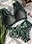 Conjunto Lingerie Rosemary Verde Rendado - Imagem 1