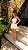 Conjunto Kelly - Imagem 2