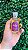 Argan Oil - Reparador 50ml - Imagem 2
