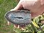 Geodo de Ágata Branca com Azul - Pedra da Harmonia - Imagem 2