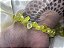Pulseira de cascalho quartzo green gold - prosperidade e alegria - Imagem 2