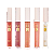 Gloss Mariana Laureano - Deisy Perozzo - Imagem 1