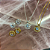 Conjunto Clássico Espiral Cravejado - Imagem 3