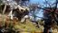 Fallout 76 - Xbox One - Imagem 2