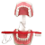 Macro Modelo de Arcada Dentaria - Colgate - Imagem 4