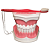 Macro Modelo de Arcada Dentaria - Colgate - Imagem 3