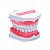 Macro Modelo de Arcada Dentaria - Colgate - Imagem 1