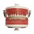 Manequim Top Dentistica PD100 - PRONEW - Imagem 1