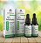 Kit 2 Extrato de Própolis Verde - Nanoprópolis - APIS VIDA - Alta Absorção - 20 ml - Imagem 2