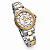 Relógio Orient Feminino Automático Aço Bicolor Prata Dourado Fundo Madrepérola 24mm NH6MM005 B1SK - Imagem 1
