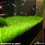 Eleocharis sp japan - Imagem 1