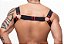 HARNESS ELASTICO PRETO COM ARGOLAS E DETALHE VERMELHO - Imagem 2