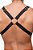 Harness V Fita Nylon - Imagem 6