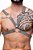 Harness V Fita Nylon - Imagem 3