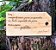 Tábua de Corte em Bambu 32x17x1,2cm Personalizada - Imagem 1