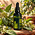 Extrato/Tintura Mãe de Baleeira (Cordia verbenacea) 50ml - Imagem 2