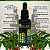 Extrato/Tintura Mãe de Espinheira-Santa (Maytenus ilicifolia) 50ml - Imagem 1