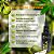 Tintura Mãe de Graviola (Annona muricata) 50ml - Imagem 2