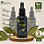 Extrato/Tintura Mãe de Louro (Laurus nobilis) 50ml - Imagem 1