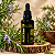 Extrato/Tintura Mãe de Alecrim (Salvia rosmarinus) 50ml - Imagem 2