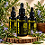 Extrato/Tintura Mãe de Alecrim (Salvia rosmarinus) 50ml - Imagem 1