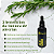 Extrato/Tintura Mãe de Alecrim (Salvia rosmarinus) 50ml - Imagem 5
