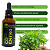 Tintura Mãe de Coentro (Coriandrum sativum) 50ml - Imagem 2