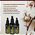 Tintura Mãe de Algodoeiro (Gossypium herbaceum) 50ml - Imagem 2