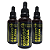 Tintura Mãe de Ginkgo Biloba (Ginkgo biloba) 50ml - Imagem 3