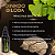 Tintura Mãe de Ginkgo Biloba (Ginkgo biloba) 50ml - Imagem 2