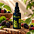 Extrato/Tintura Mãe de Amora Miura (Morus nigra) 50ml - Imagem 2