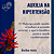Combo (1 Mês) - 04 x Tintura Mãe de Mulungu (Erythrina mulungu) 50ml - Imagem 8