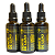 Tintura Mãe de Dente de Leão (Taraxacum officinale) 50ml - Imagem 2