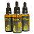 Tintura Mãe de Ginseng (Panax ginseng) 50ml - Imagem 2