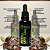 Tintura Mãe de Pedra Ume Caá (Myrcia sphaerocarpa) 50ml - Imagem 1