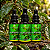 Extrato/Tintura de João Brandinho (Ottonia corcovadensis) 30ml - Imagem 1