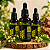 Extrato/Tintura Mãe de Assa-peixe (Vernonia polyanthes) 50ml - Imagem 1