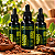 Extrato/Tintura Mãe de Barbatimão (Stryphnodendron adstringens) 50ml - Imagem 1