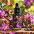 Extrato/Tintura de Pau d'Arco (Tabebuia impetiginosa) 30ml - Imagem 2